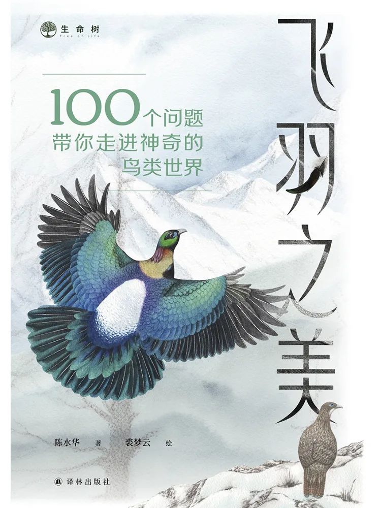 Book-Winshare The Beauty Of Feathers 100 Questions To Take You Into the Magical World Of Birds