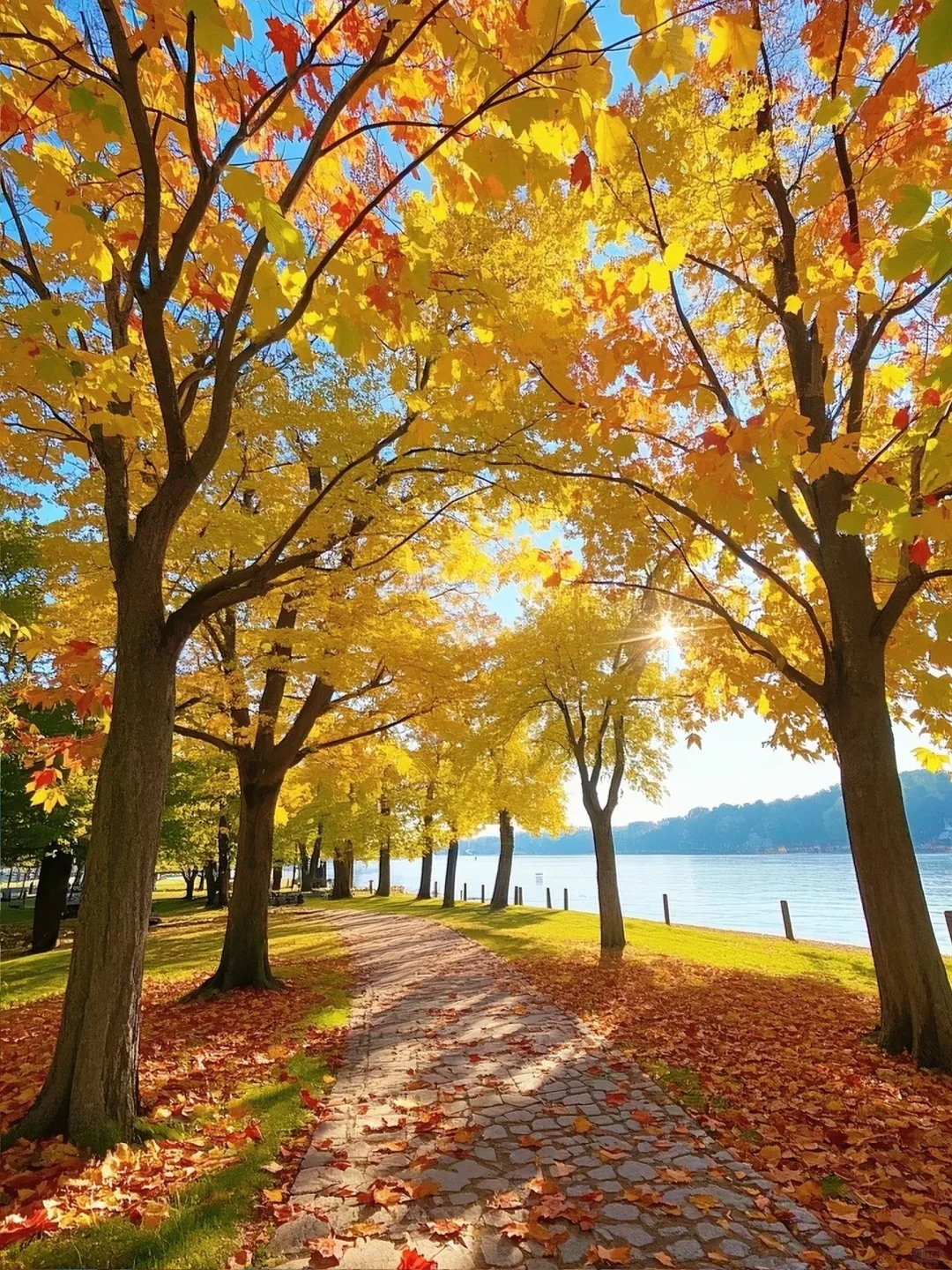 

Android 13 8 + 256 ГБ Tesla Screen Carplay Автомобильный радиоприемник 2 Din стереоприемник для Toyota Lander Cruiser LC200 2016-2020 GPS аудиоблок