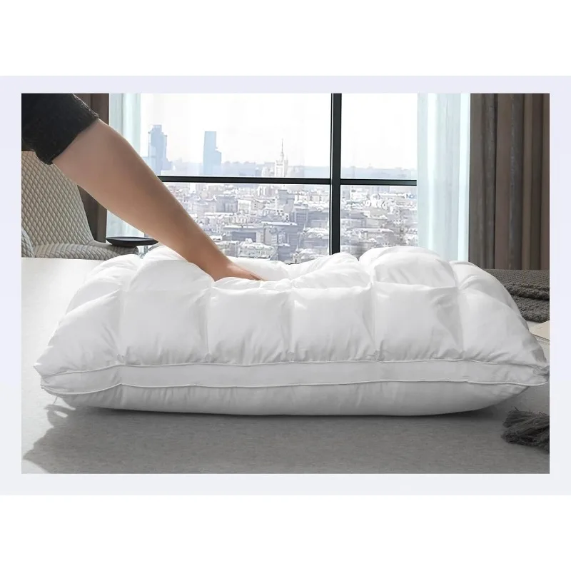 

Soft Support Standard Pillows 2 Pack for Bed, Fluffy Down Alternative Pillow, Luxury Hotel Gel Pillows for Side Sleeping