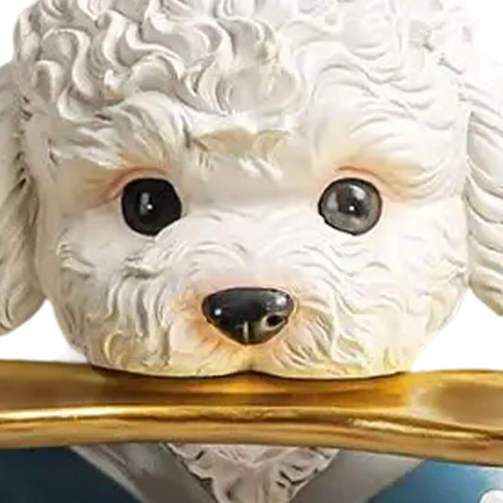 Wall Mounted Towel Rack Dog Toilet Paper Roll Holder for Lavatory Kitchen