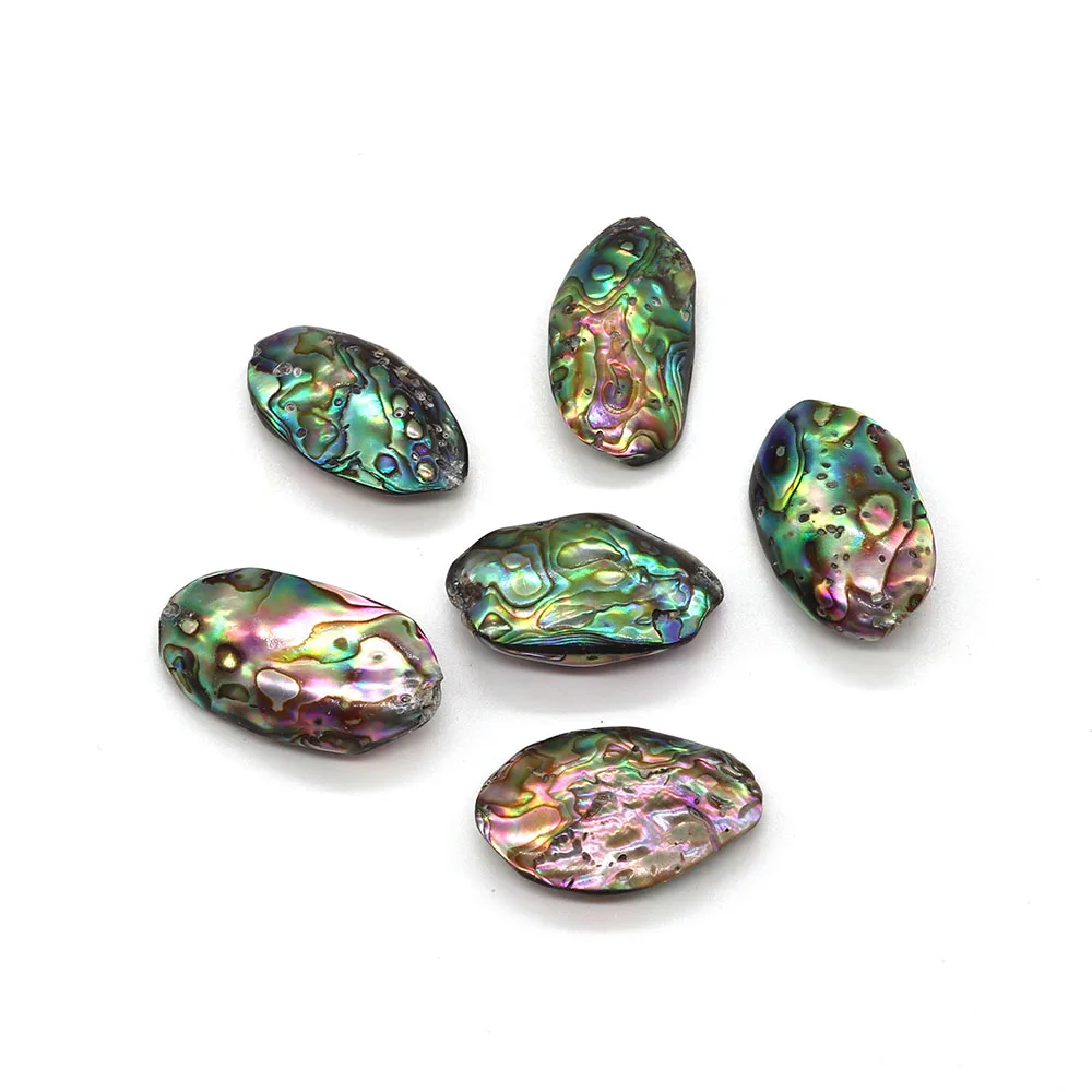 2pcs Natural Abalone Shell Irregular Abalone Beads 13-30mm Charm Fashion Jewelry DIY Necklace Earrings Bracelet Making Accessory