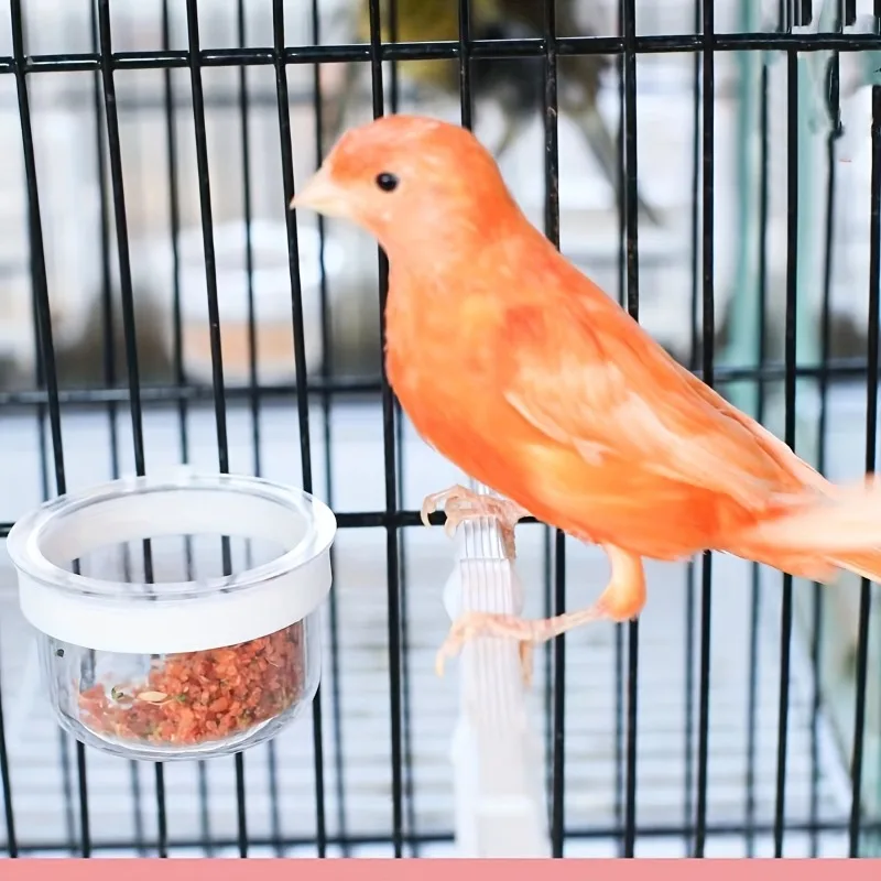 Bird Feeders Cup, P…