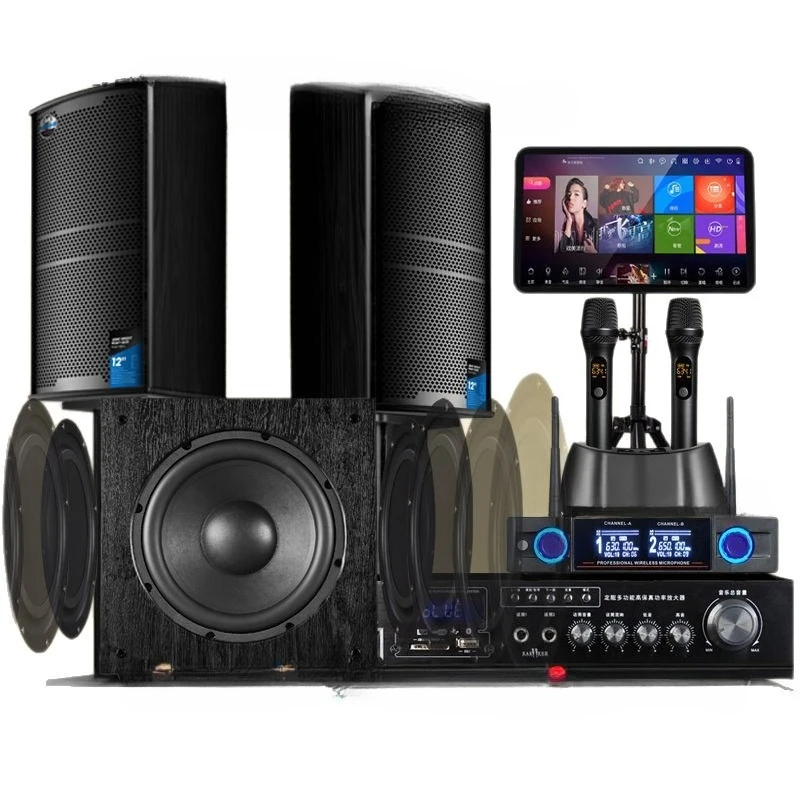 

Home KTV Audio Set Karaoke Cinema Professional Equipment