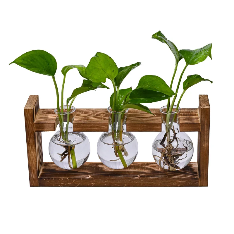 Creative Wooden Frame Hydroponic Small Vase Ins Plant Glass Bottle Container Home Living Room Office Desktop Decoration