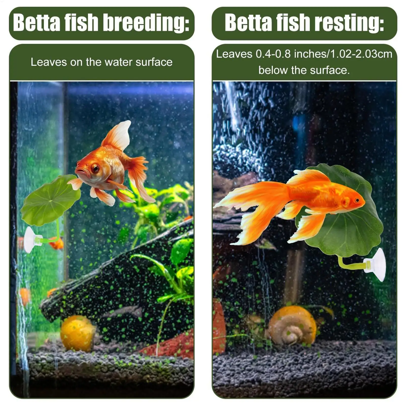 Hamaca de hoja Betta, 5 piezas, punto de descanso, decoración de tanque Betta, decoración de acuario para jugar cría de camarones, Corydora Kuhli