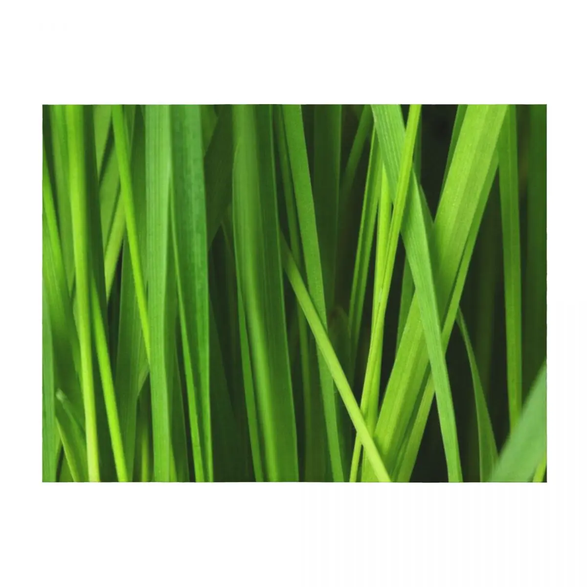 sunbeam heated Throw Blanket Flannels Luxury Tourist Vintage Blankets