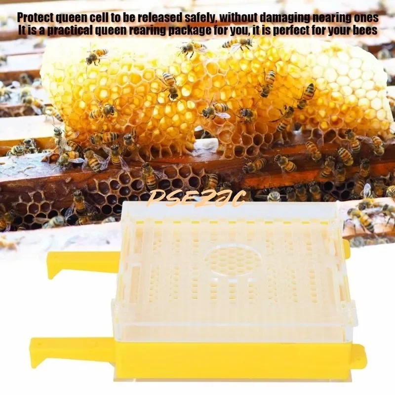 Portable Queen Bee Breeding Box Set Insect Moving Cage Queen Breeding Platform Tool