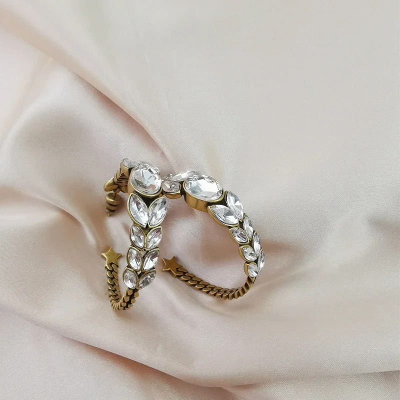 

Big circle of wheat zircon earrings for women