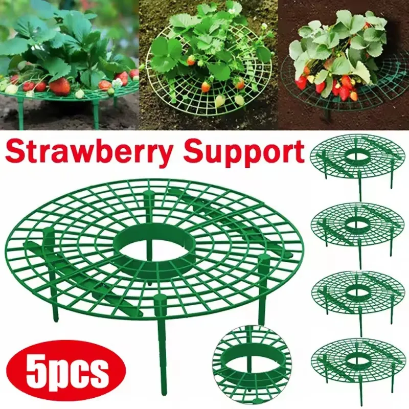 

Strawberry Supports Keeping Plant Fruit Stand Vegetable Growing Rack Garden Tools for Protecting Vines Avoid Ground Gardening