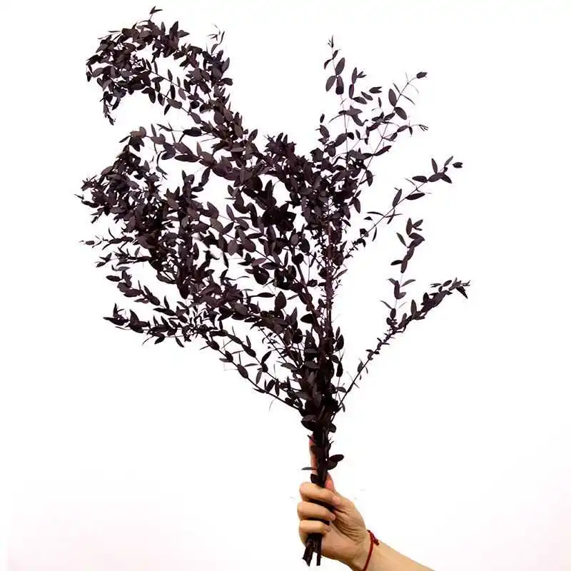 Slim Le Eucalyptus … - image