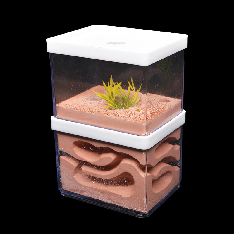 Big Ant Nest Insect Castle ant farm house with Feeding Area With landscaping decoration Anthill Ecological Workshop 10*8*16cm