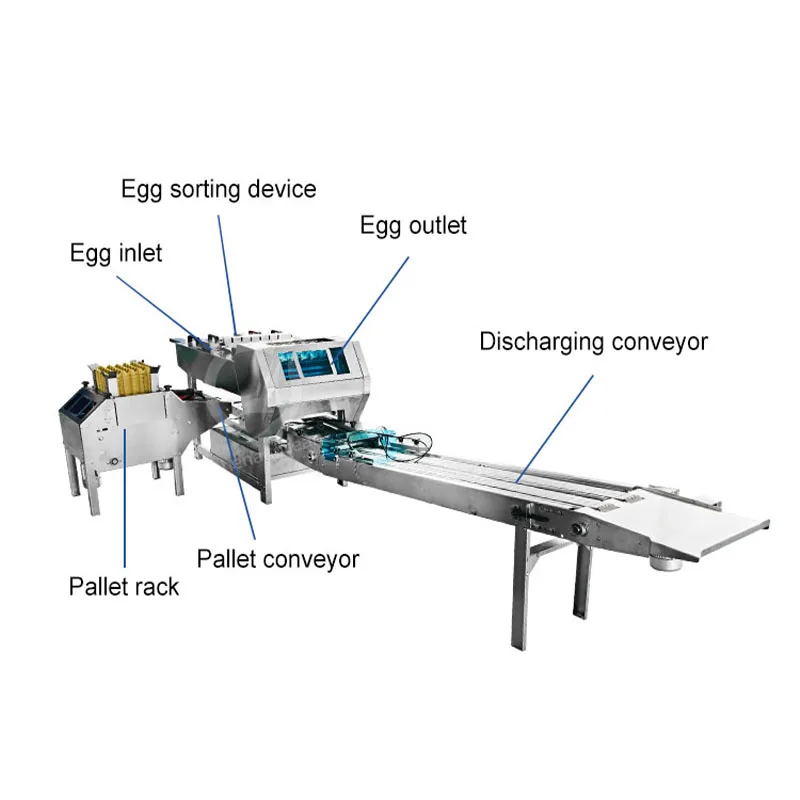 آلة تحميل صينية البيض آلة تعبئة بيض الدواجن آلة تعبئة بيض الدجاج الصغيرة للصينية #3