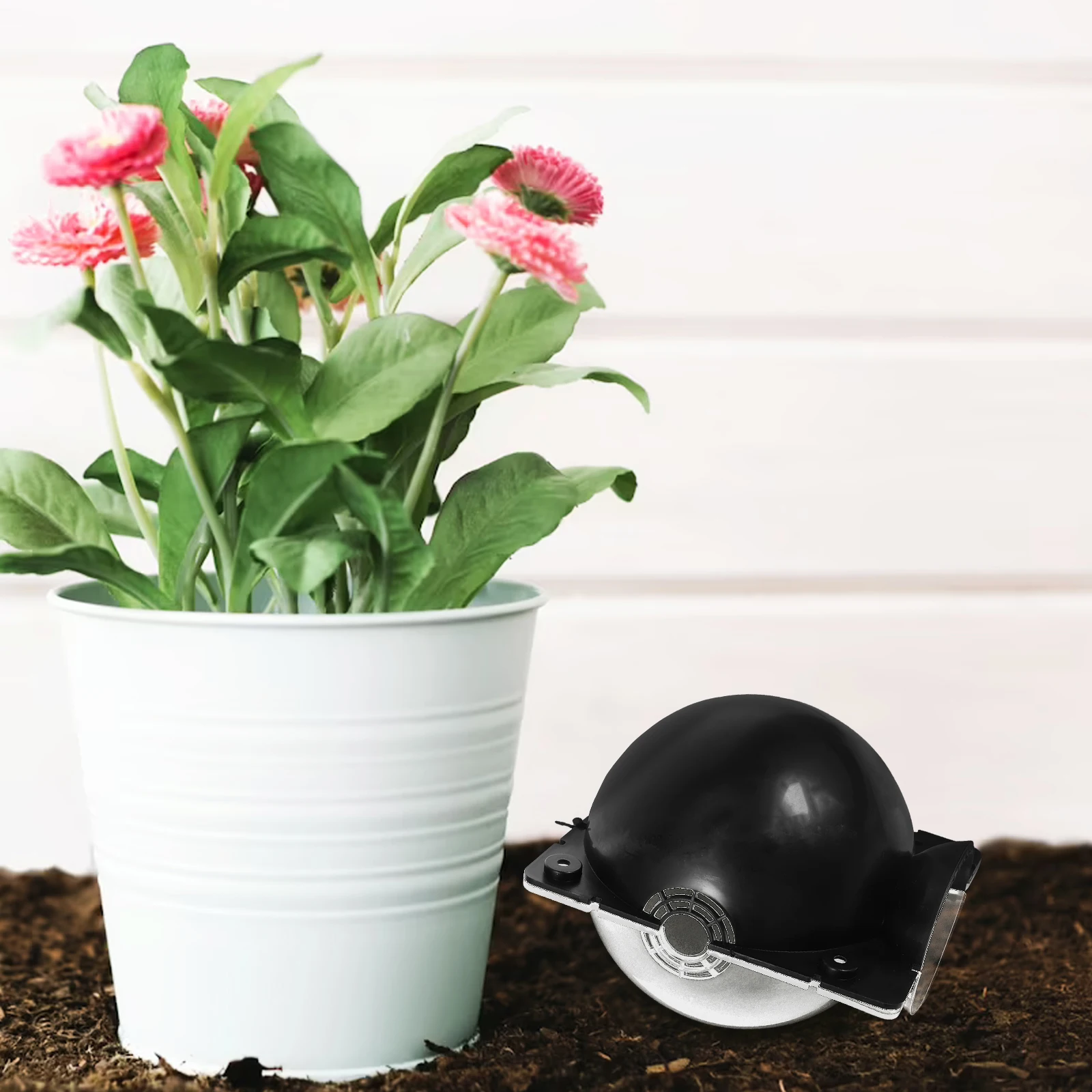 

Plant Rooting Propagation Grafting Box for Tree Plants Plastic Dome Shape Balls Portable Lightweight Strong for Rooting