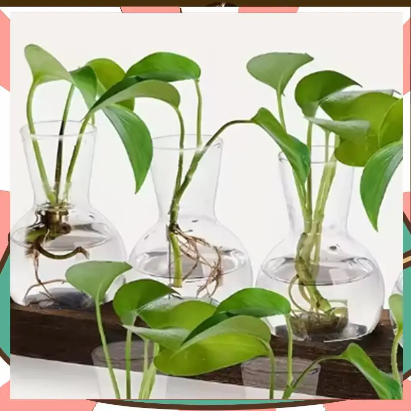 

Plant Terrarium Glass Vase Modern Transparent With Wooden Tray, Indoor Desktop Decor-[A59T]