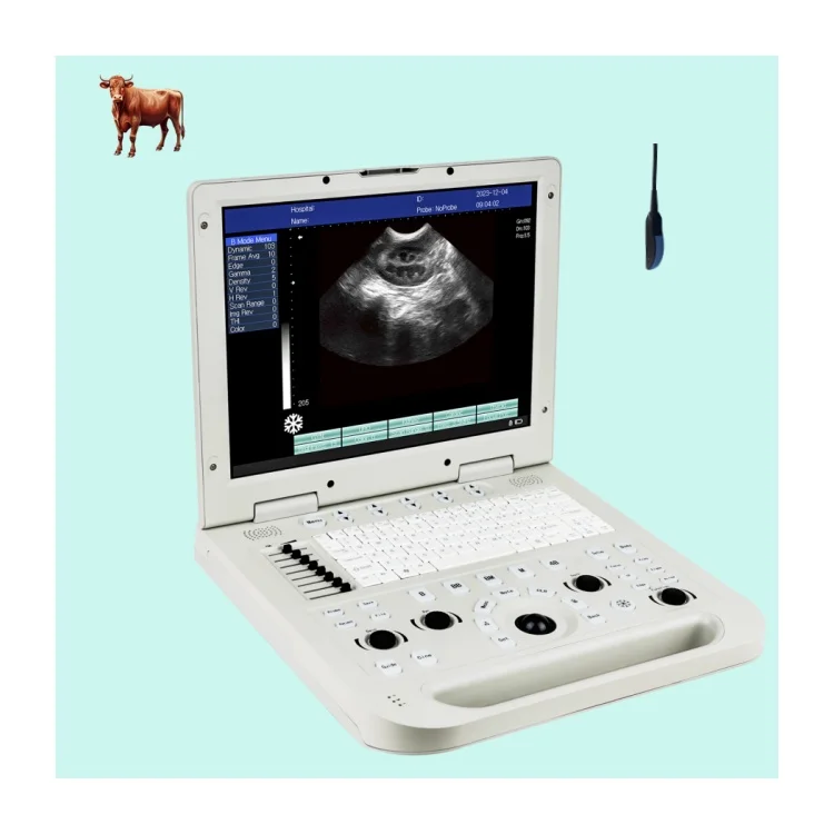 

Портативный ветеринарный ультразвуковой аппарат, медицинский ультразвуковой сканер USG для домашних животных, коров, кошек, собак - ветеринарное оборудование