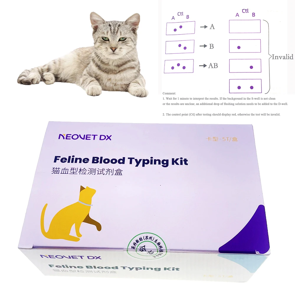 1Box/5 Strips Rapid Feline Cat Blood Typing Test Kit Animal Blood Type Detection Quick Test Anemia Check Card Clinic Breeding