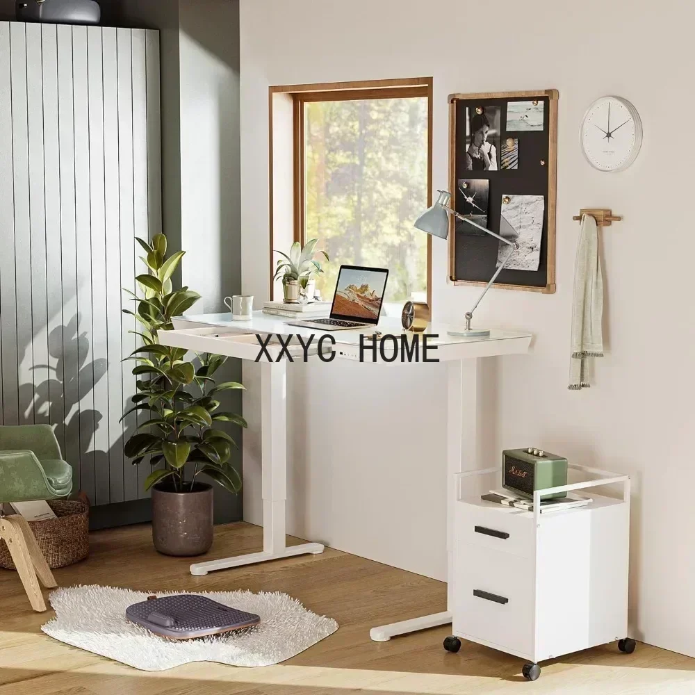 TAO Electric Standing Desk with Drawers,55 Inch Whole-Piece Glass Desktop,Height Adjustable Stand Up Sit Stand Home Office Ergon