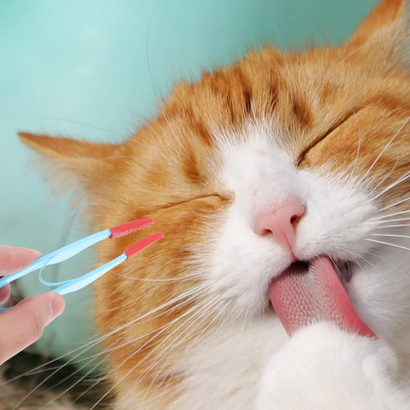 

Eye Cleaning Brush For Pets Soft Bristles Remove Tear Stains Daily Use Grooming Tool Dog Eye Comb Small Cat Brush Pet