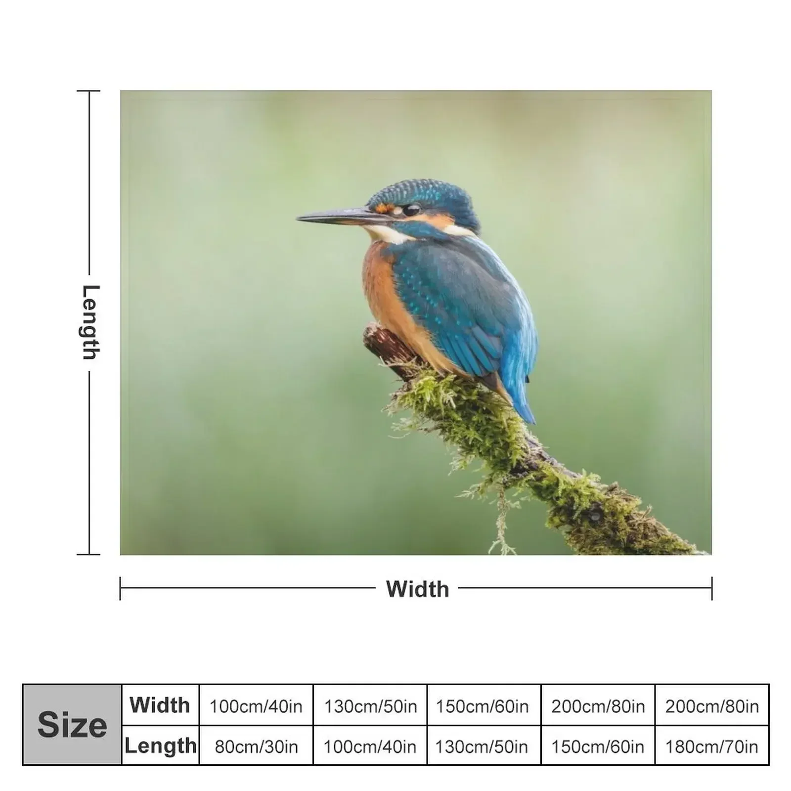 Kingfisher Perched Throw Blanket Beach Blankets Sofas Of Decoration Blankets