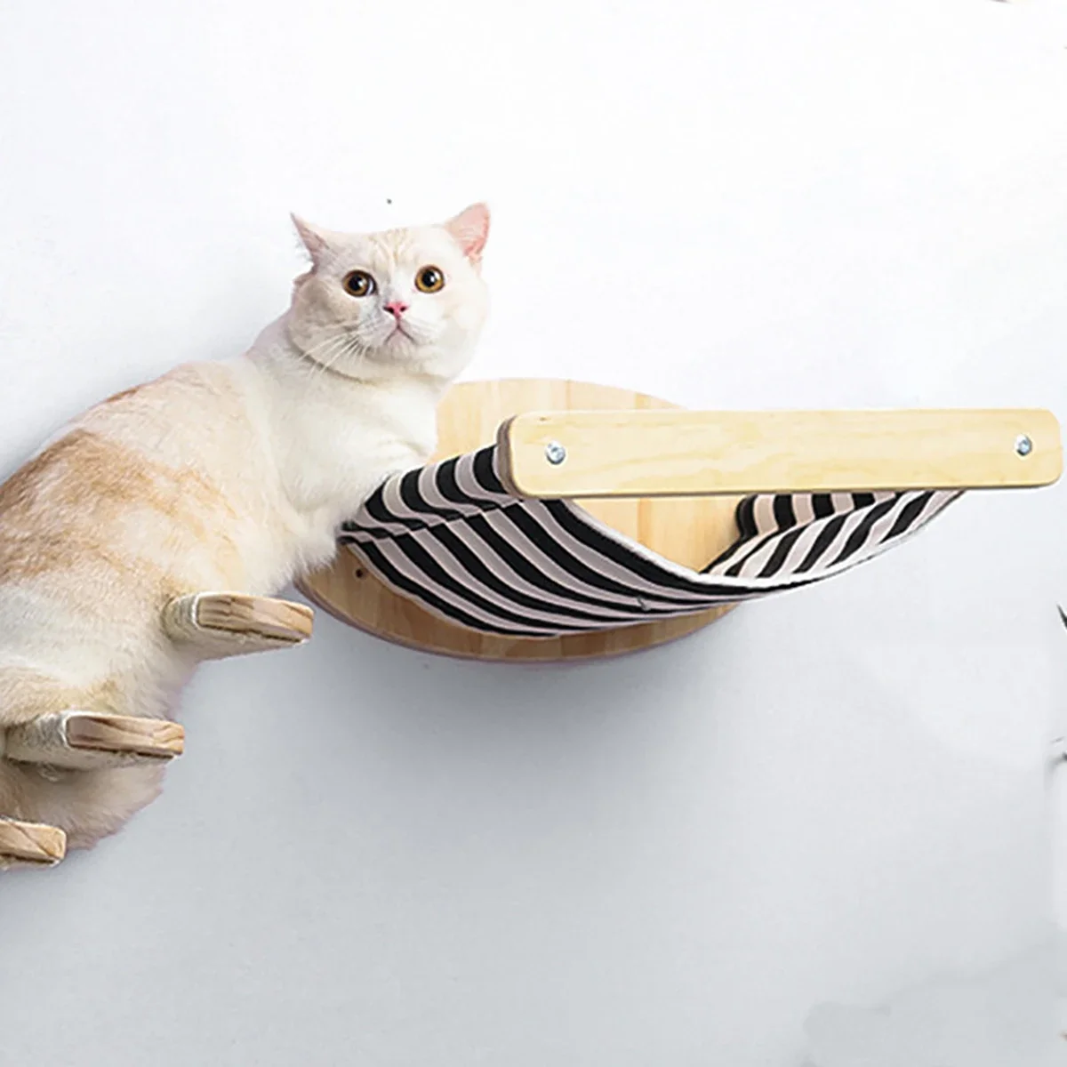 Cat Wall Mounted Hammock, Catwall Furniture, Shelf and Perches, Floating Shelf, Kitten Wall Furniture