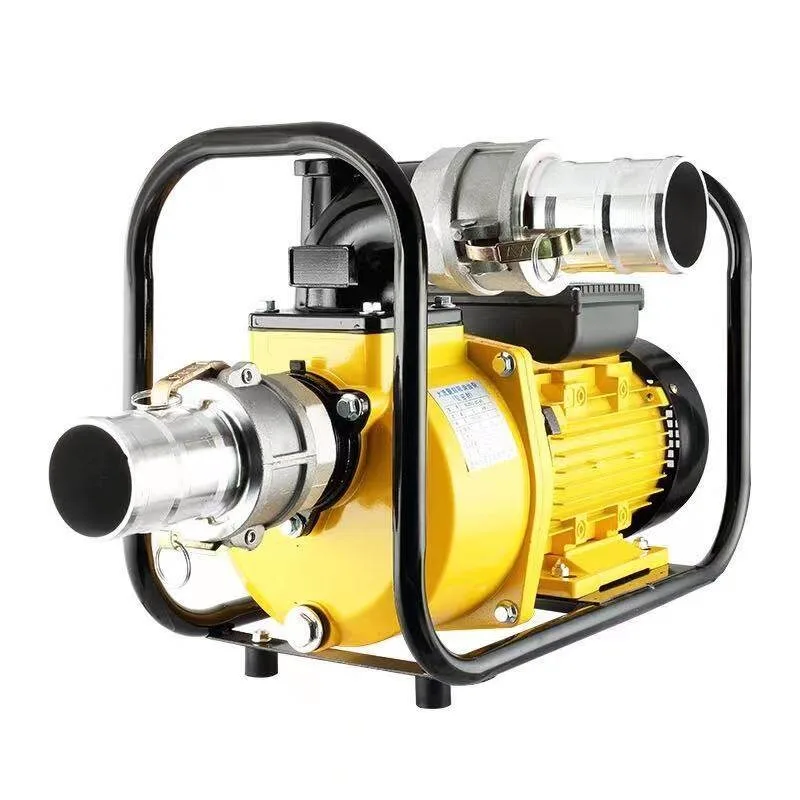 Electric Transfer Pump Self Priming High Flow Oil Tanker Unloading Pump Portable Fuel Dispenser 2.2kW Copper Motor
