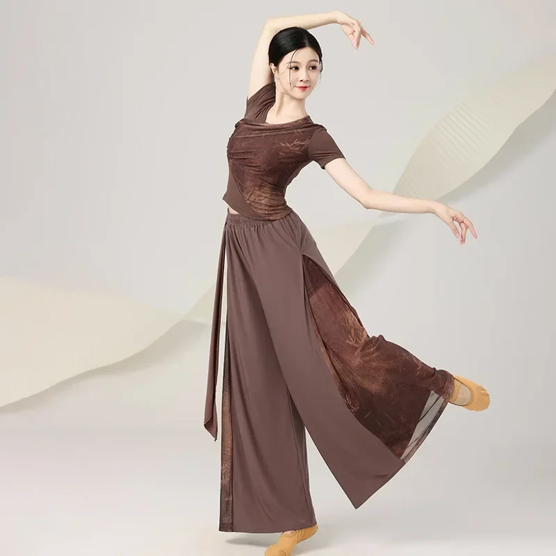 Abiti per la pratica della danza classica cinese, top a maniche corte aderenti per adulti, insegnante di danza moderna, pittura a inchiostro nazionale