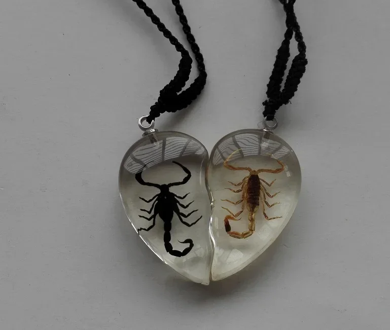 Natural Scorpion Necklace Handmake Vintage Resin Insect Beetle Amber Lovers Pendant Rope Chain Necklaces Glow in Dark Jewelry