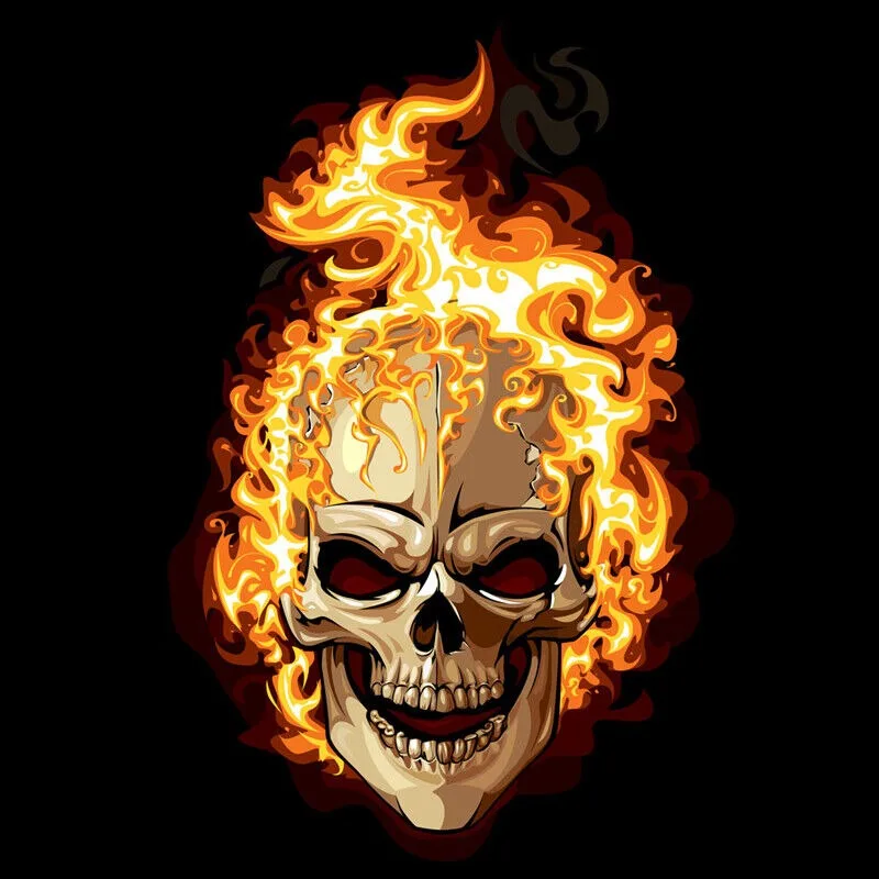 2pcs Wired Flame Skull LED Logo Pattern Car Door Welcome Light Laser for Rio Stinger Silverado Universal