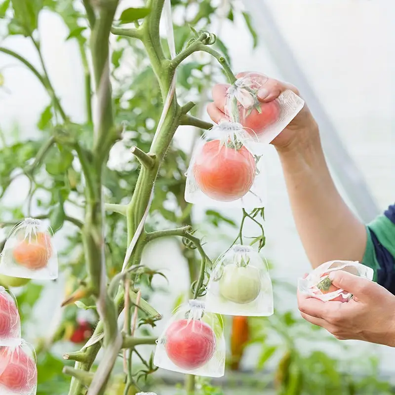 50/100Pcs Mesh Fruit Plant Grow Bags Anti Bird Pest Protection Net Vegetable Garden Cultivation Cover Supplies