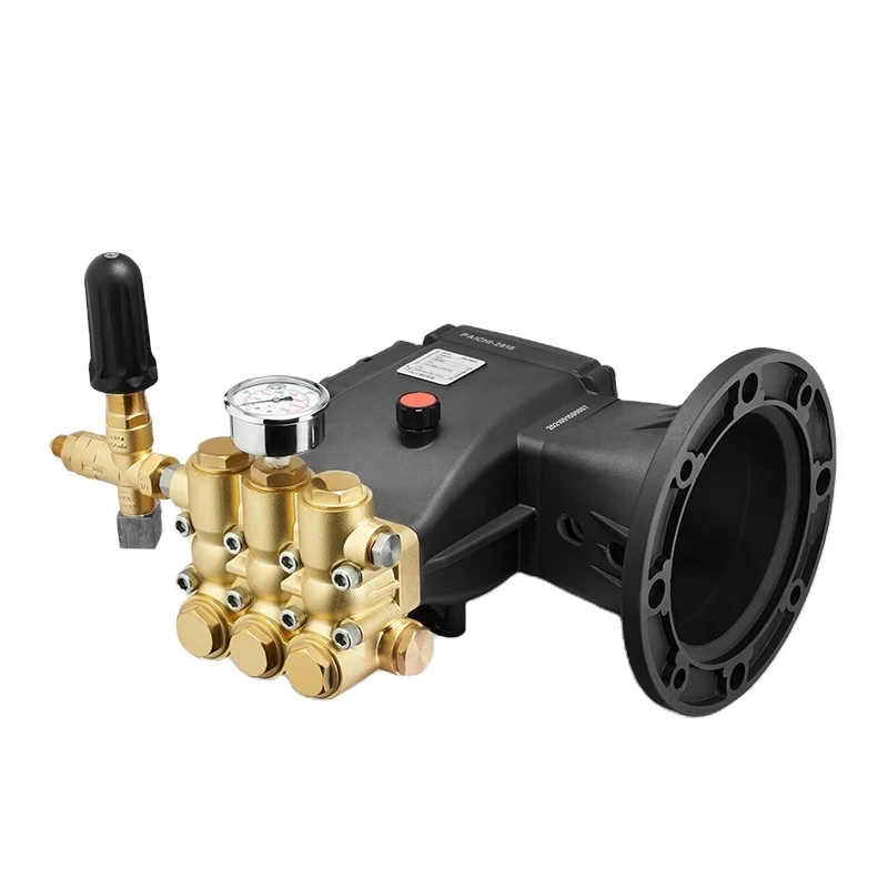 Factory Hot Sale 2900PSI Diesel High Pressure Pump Clean Triplex Plunger Pump with Motor Power Supply