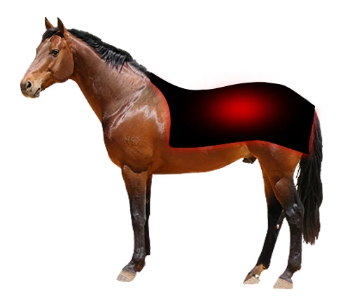 Red light therapy device Red light therapy for horse Infrared therapy for pain relief