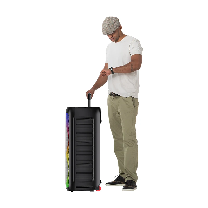 

China Speaker Manufacturer Outdoor Blue Tooth Portable Karaoke Powered 8inch Dj Speaker Box With Mic