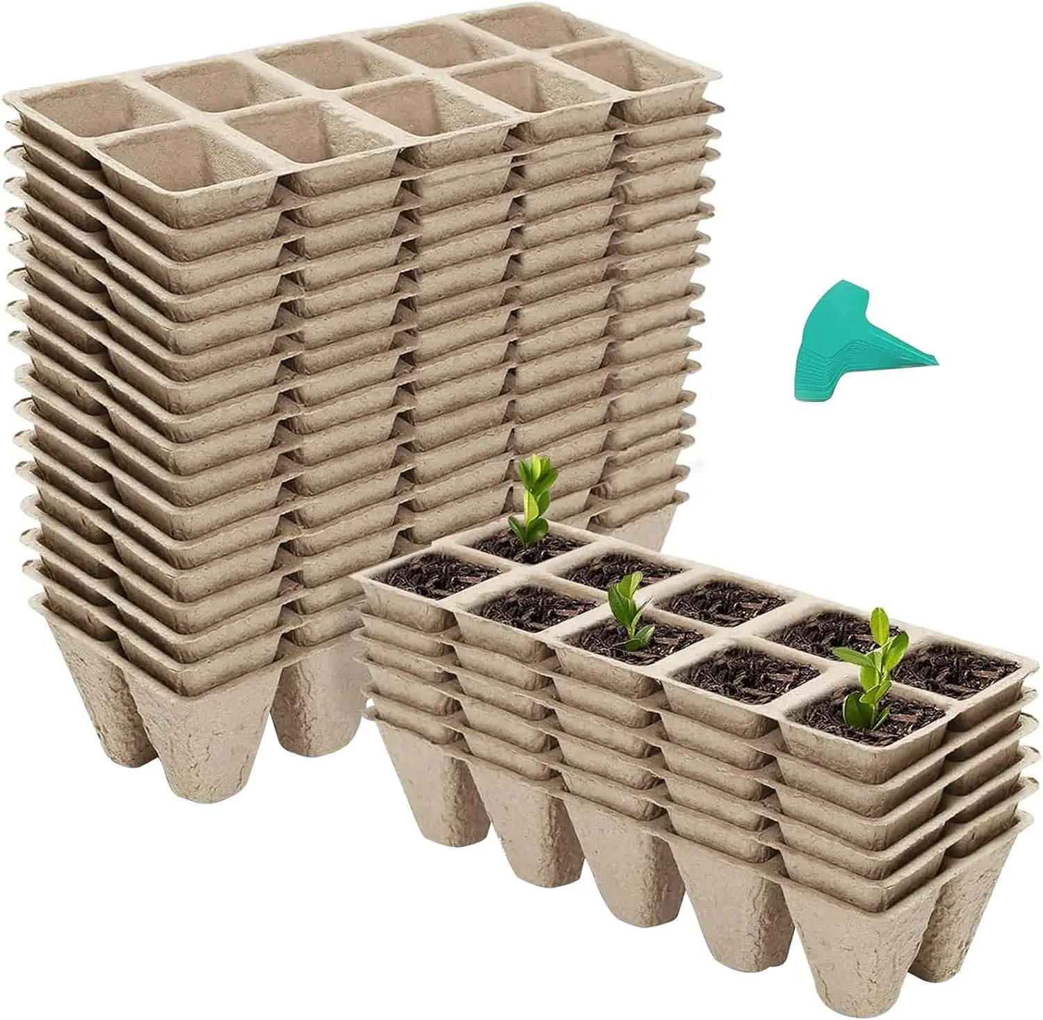 240 Cells Peat Pots Seed Starter Trays, 24 Packs Biodegradable Seedling Pots Germination Trays with 15 Pcs Plant Labels