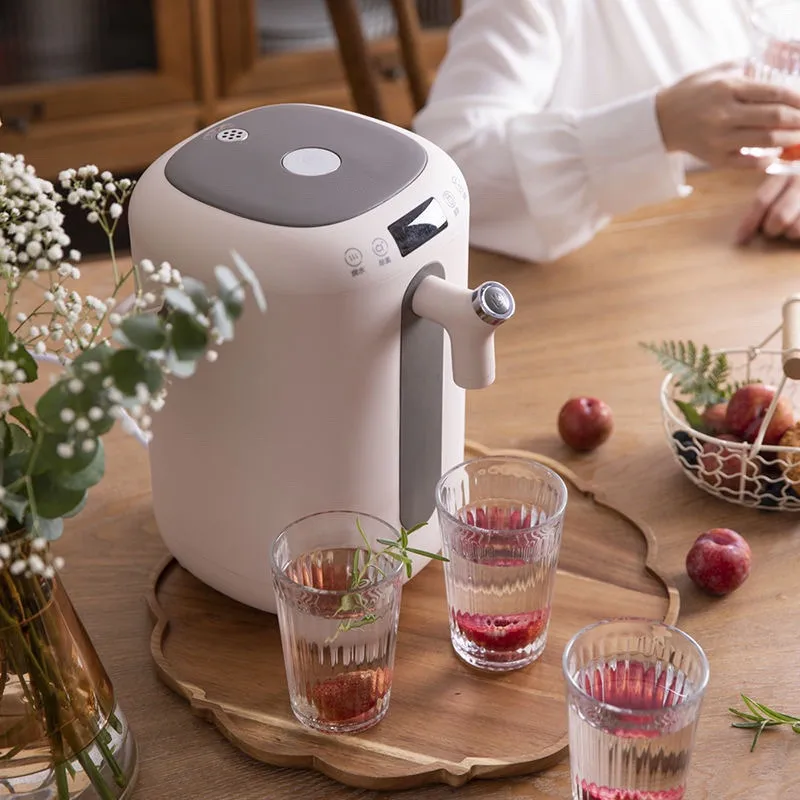 220V 3L กาต้มน้ำไฟฟ้าสแตนเลสด้านในแบบพกพาไฟฟ้าต้มหม้อน้ำไฟฟ้าน้ำร้อนขวด