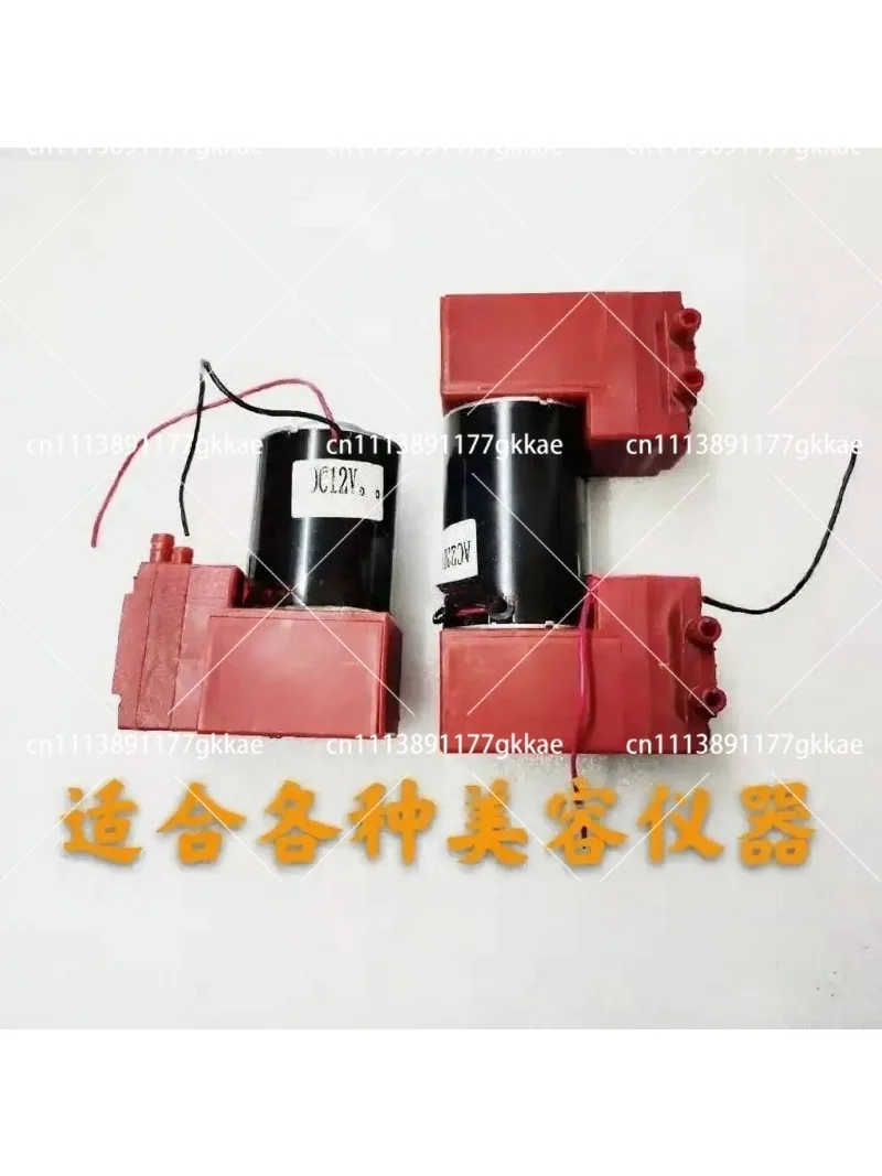 Fine Engraving Air Pump Small Bubble High Frequency Oxygen Injection Device Single Head Vacuum Pump 12V 220V