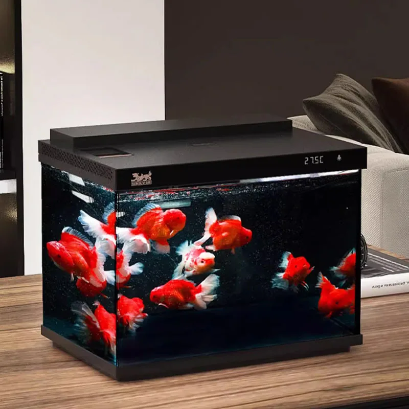 Filtration Landscaping Fish Tank Ecology Living Room Aquatic Pet Supplies Desktop Loop Fish Tank Light Aquarium Pour Aquarium