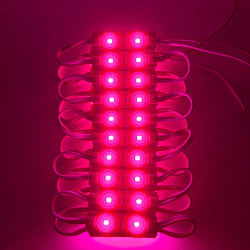 20 Stück 2LED DC12V LED-Modul 2835 6500k Weiß SMD-Module mit Linse 40*12mm Hintergrundbeleuchtung Wasserdicht IP67 Schilderbeleuchtung Kaltweiß