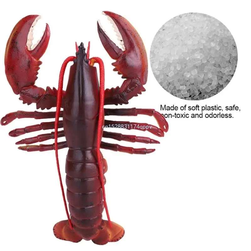 jouets figurines homard en PVC souple polyvalent, avec des designs réalistes, portables à des fins éducatives,