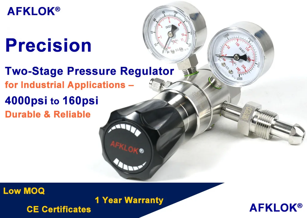 Inlet 4000psi Outlet 160psi Argon Pressure Regulator Stainless Steel High Quality for Accurate Pressure Regulation of Bulk Gases