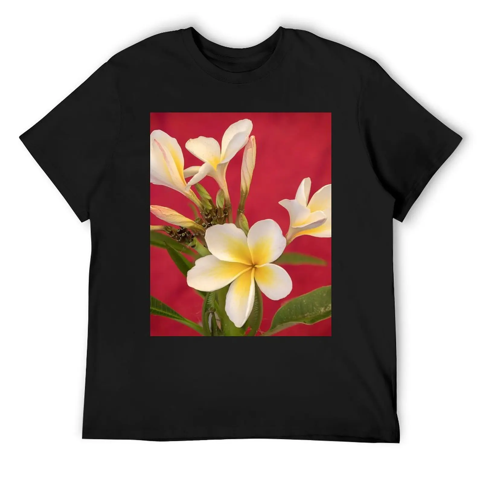 

Frangipani Study T-Shirt blanks oversized basketball graphic tees cotton graphic tees mens workout shirts
