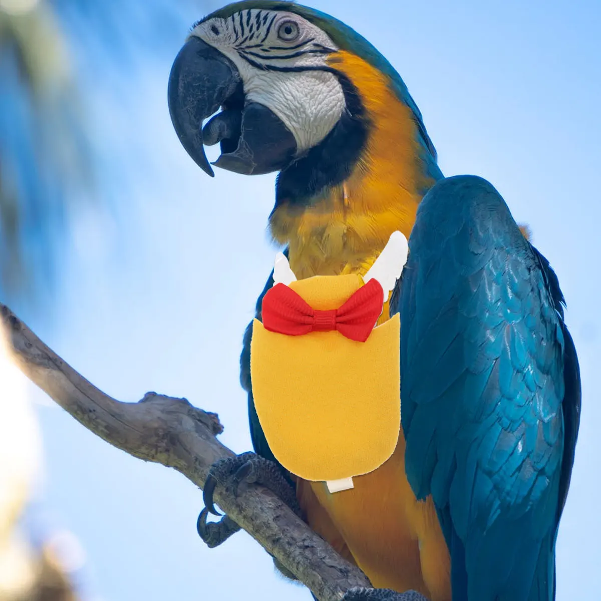 

Creative Pet Bird Diaper Rosy Bowknot Parrot Diaper Pilot Flying Suit for Parakeet Cockatiel Pigeon Comfortable Pet Clothing