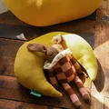 Small moon 1pc