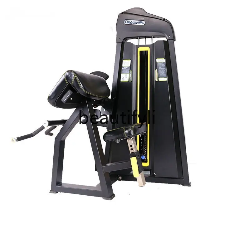 

Gym Commercial Strength Dual-Function Comprehensive Trainer for Biceps and Triceps Fitness Equipment