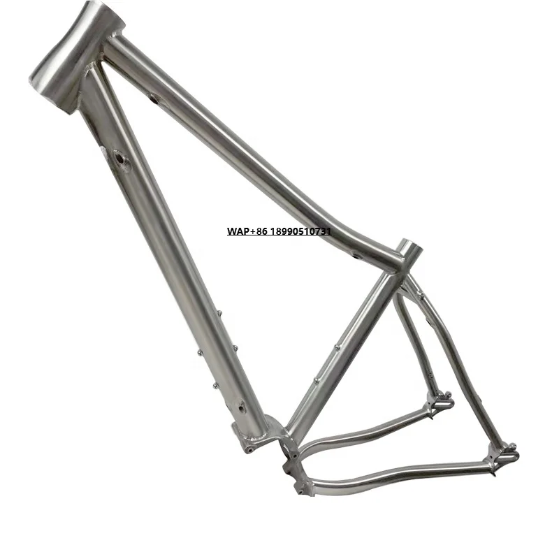 

29" Titanium Mountain Pinion Bike Frame Ready for Ship
