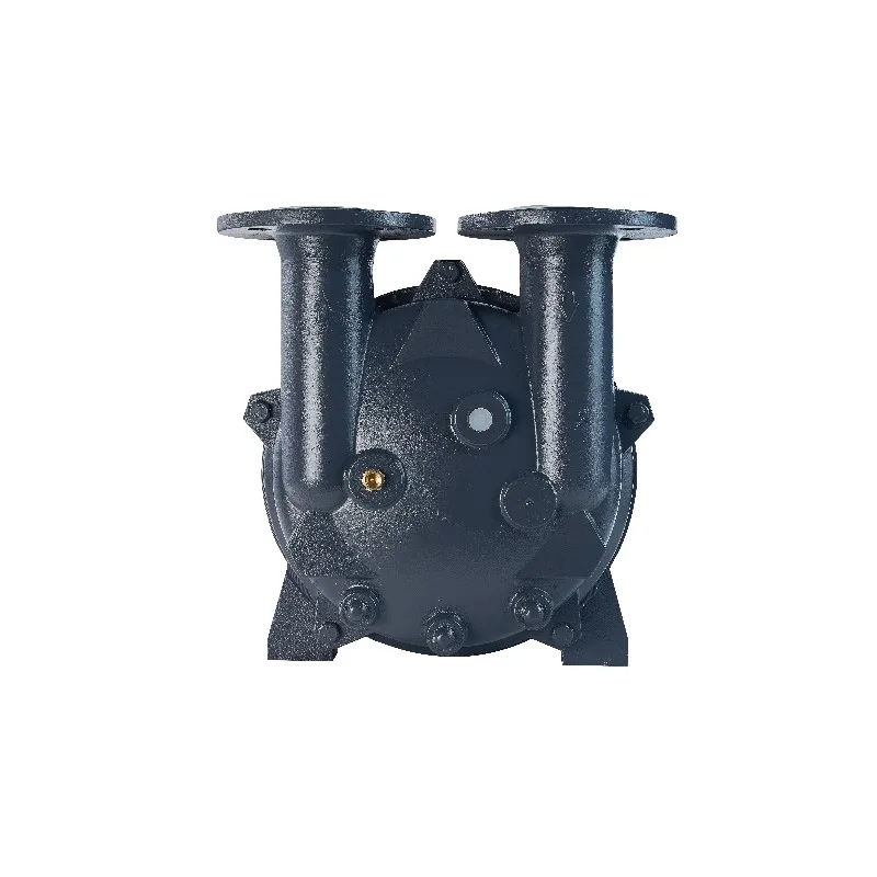 Nash 2BV Electric Stainless Steel Wear-Resistant Water Ring Vacuum Pump for Applications