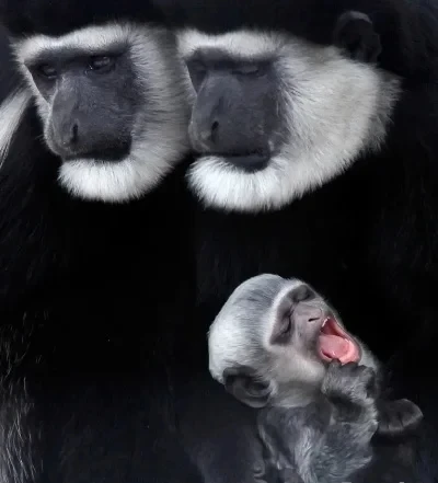 105X25 мм имитация металлической лопаты, украшение для 1/10 RC гусеничного автомобиля, осевой SCX10 90046 Trxs TRX4 D90, обновленные детали