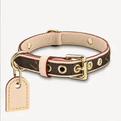 Wholesale Pet Accessories XS-L Luxury French Bull Dog Collars Genuine Leather Dog Cat Collars With Leash