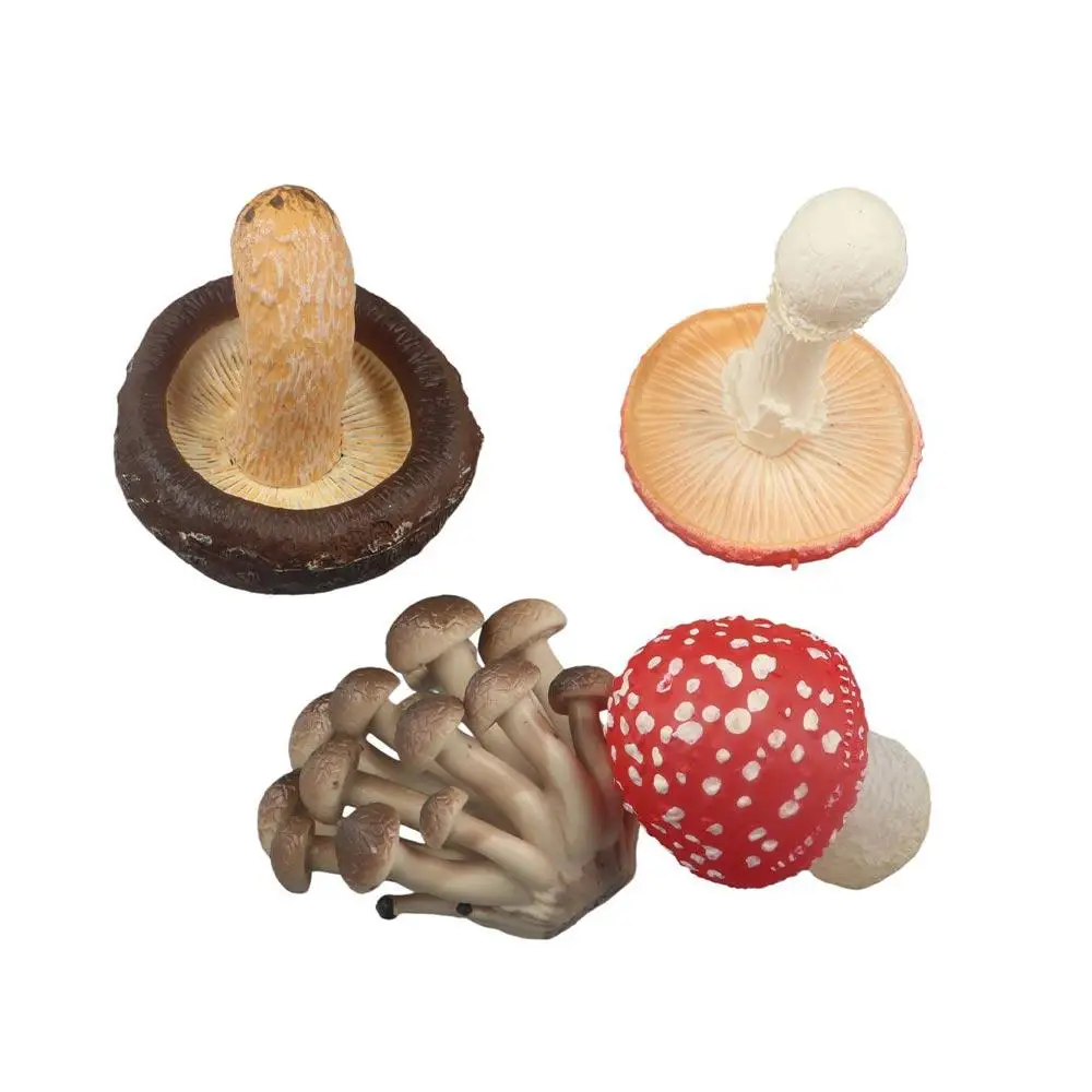 Vegetable Model Fungus Figurines Landscape Miniatures Matsutake Oyste Simulation Mushroom Pleurotus Teaching Toy Fungus Model