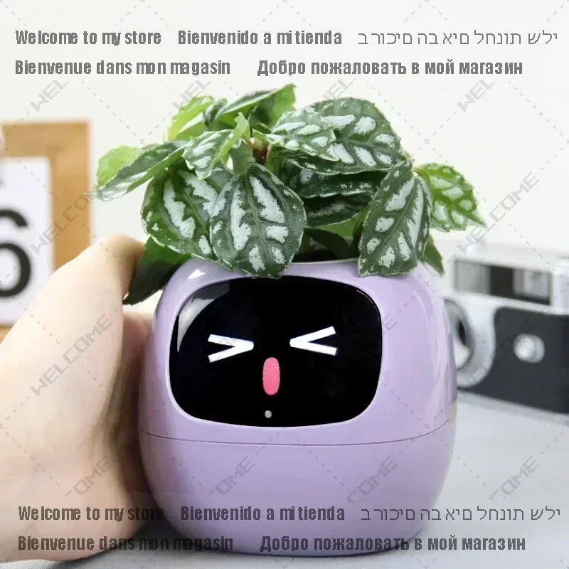 

smart pot for plant Small Flower Pot Ivy Desktop Green Plant vase for