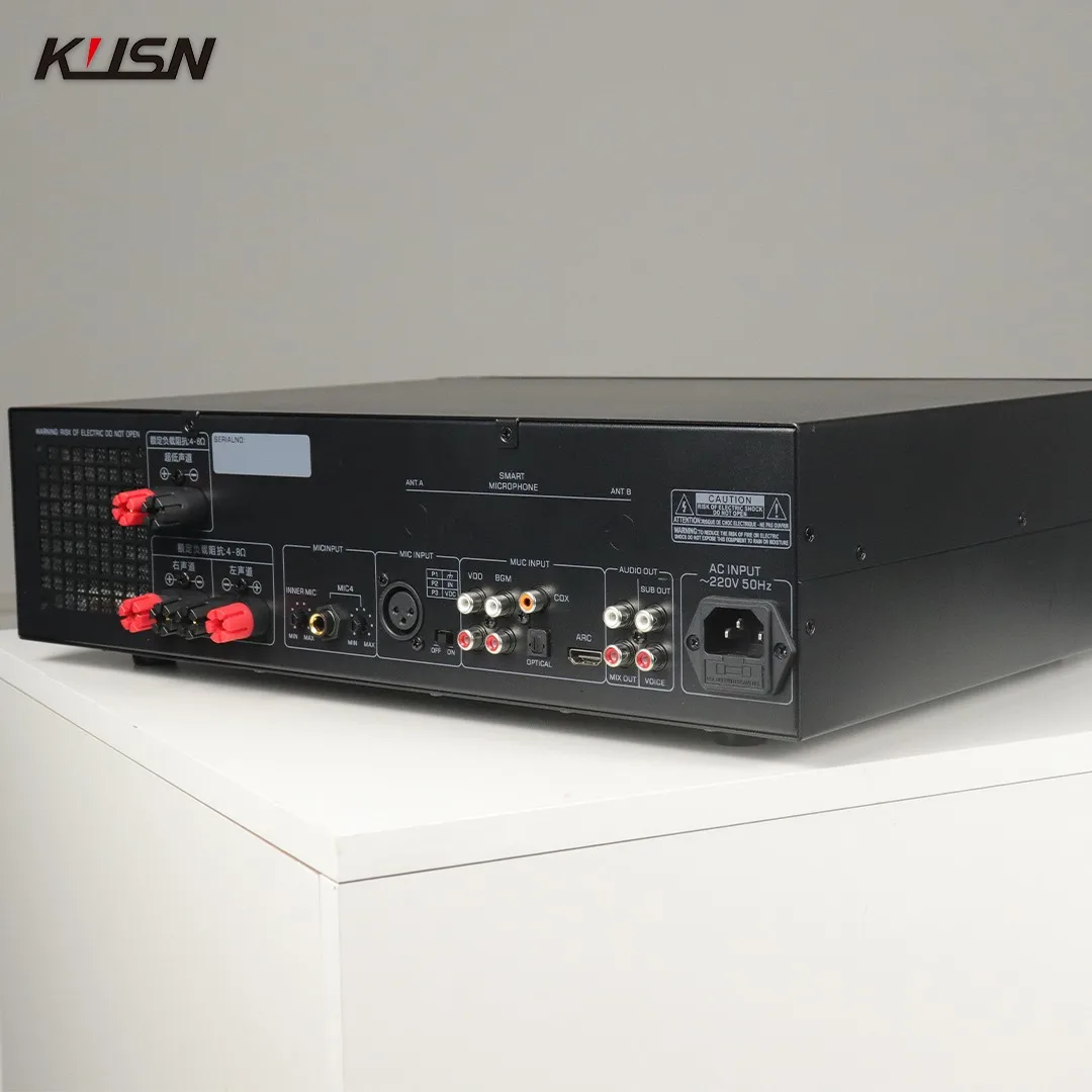 350W+350W Analog DSP Audio Power Amplifier Karaoke Home Theater KTV Sound System Karaoke Amplifier